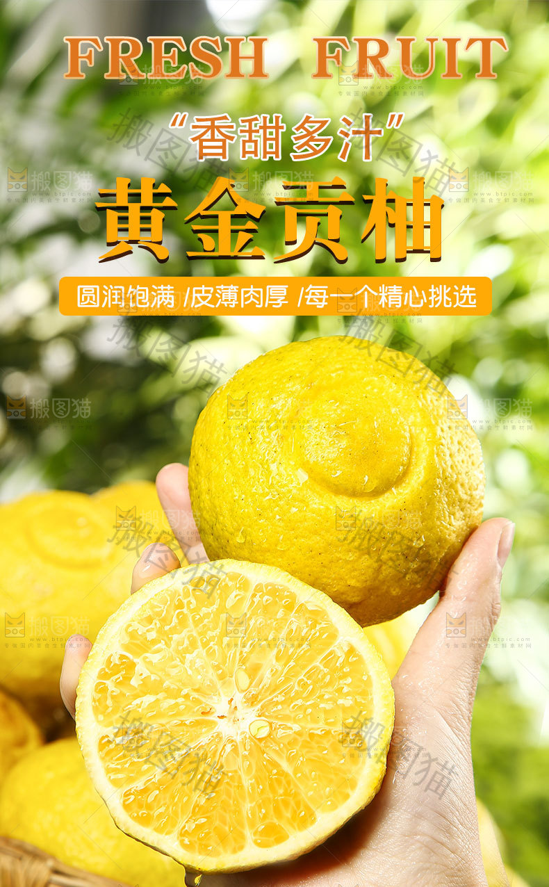 黄金贡柚详情页
