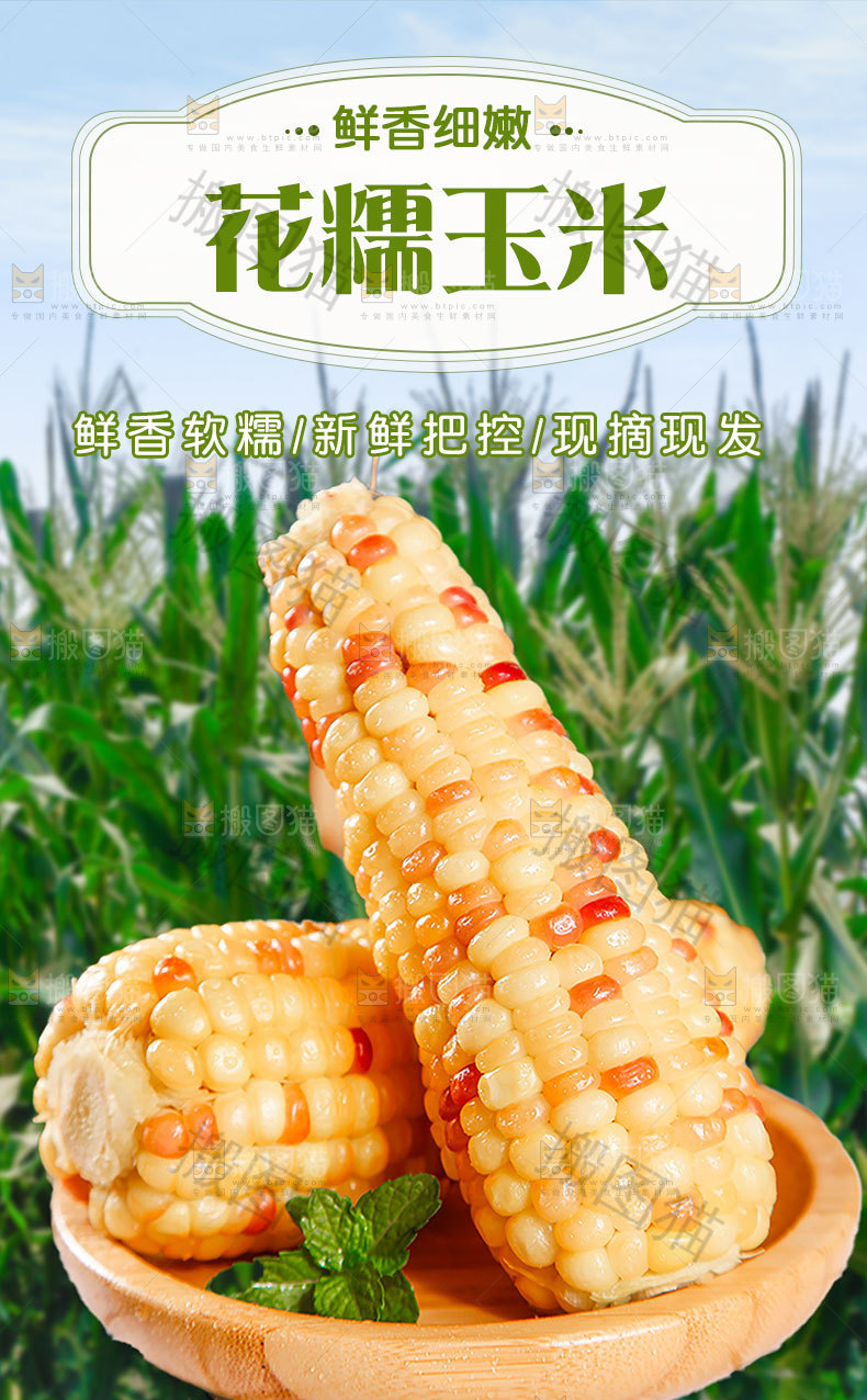 花糯玉米详情页