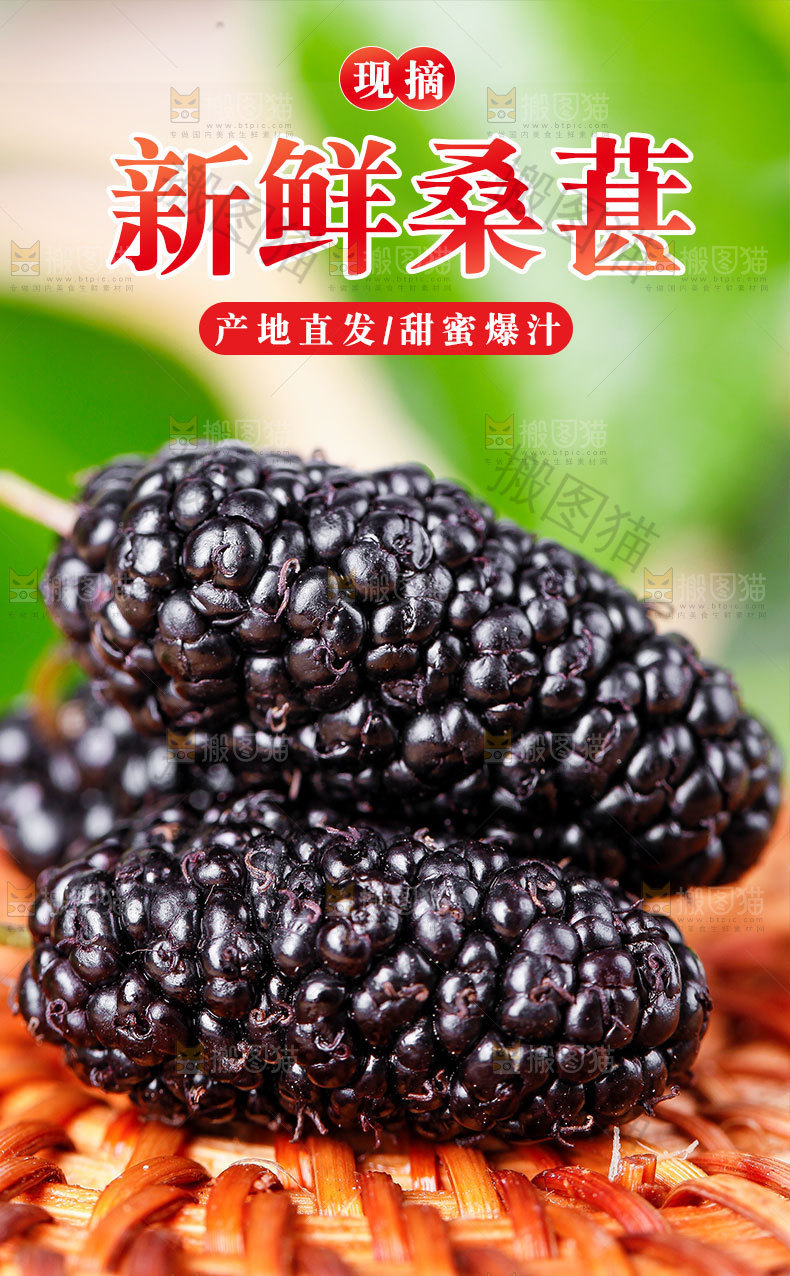 新鲜桑葚详情页