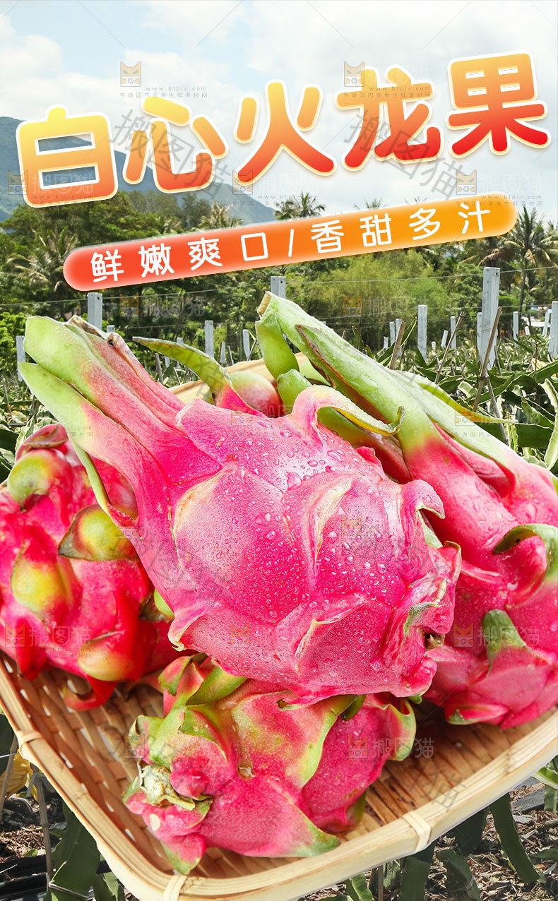 白心火龙果详情页