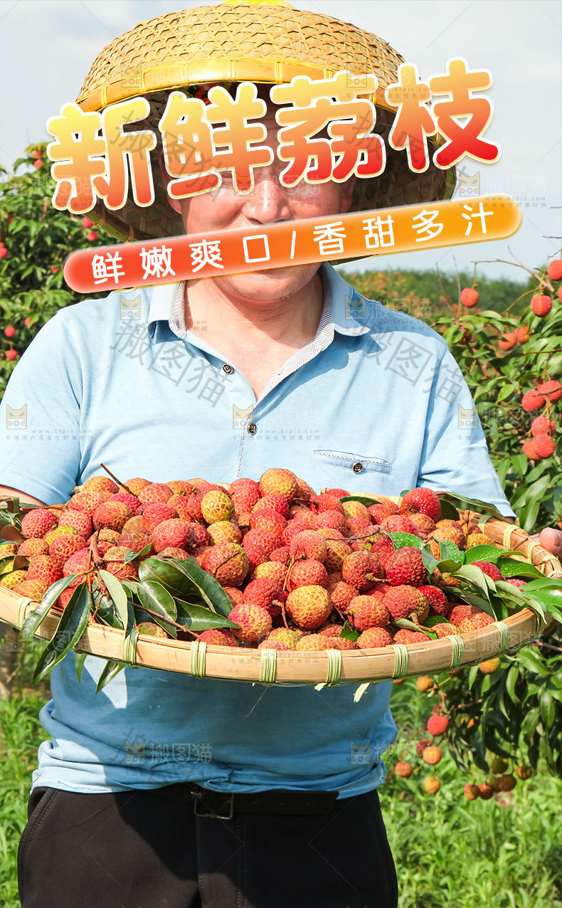 妃子笑荔枝详情页