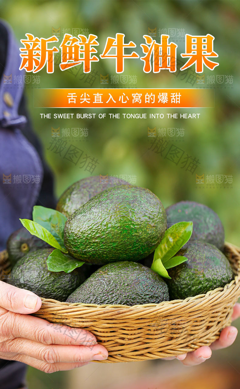 牛油果详情页