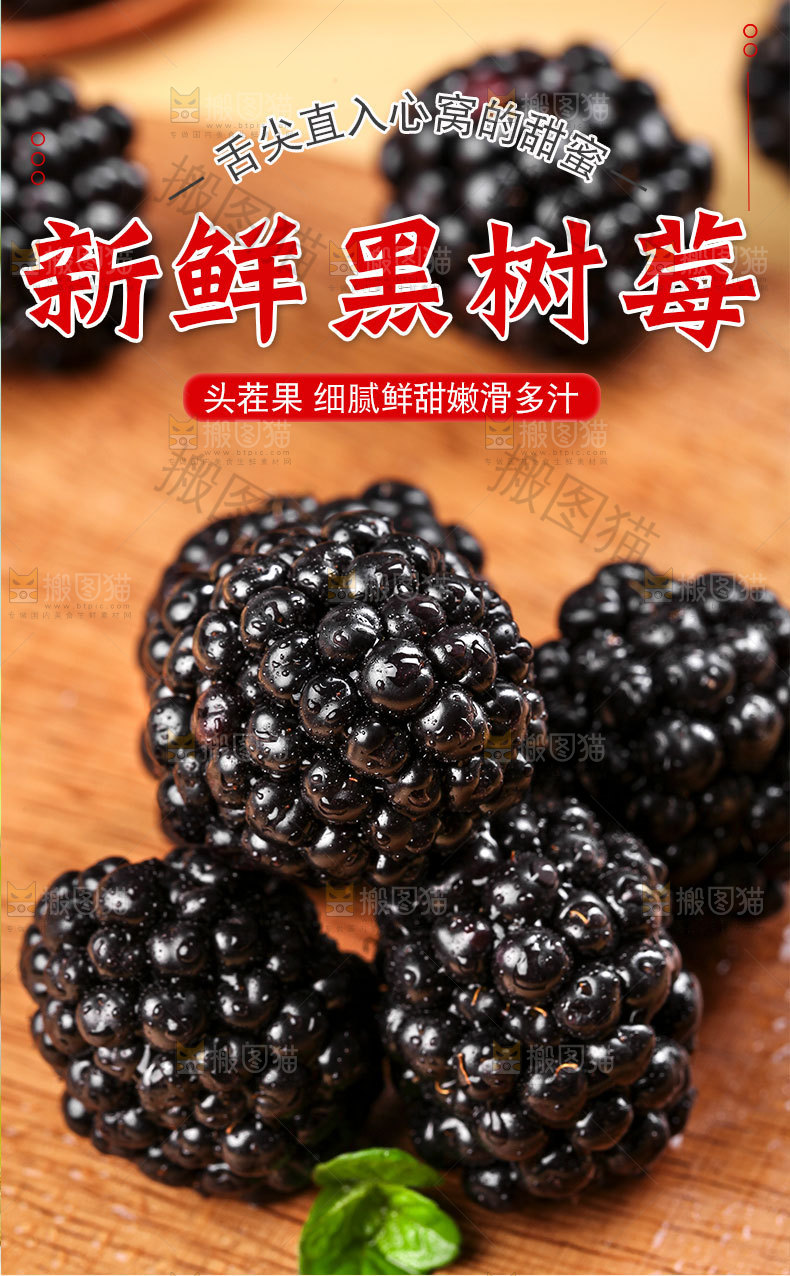 黑树莓详情页