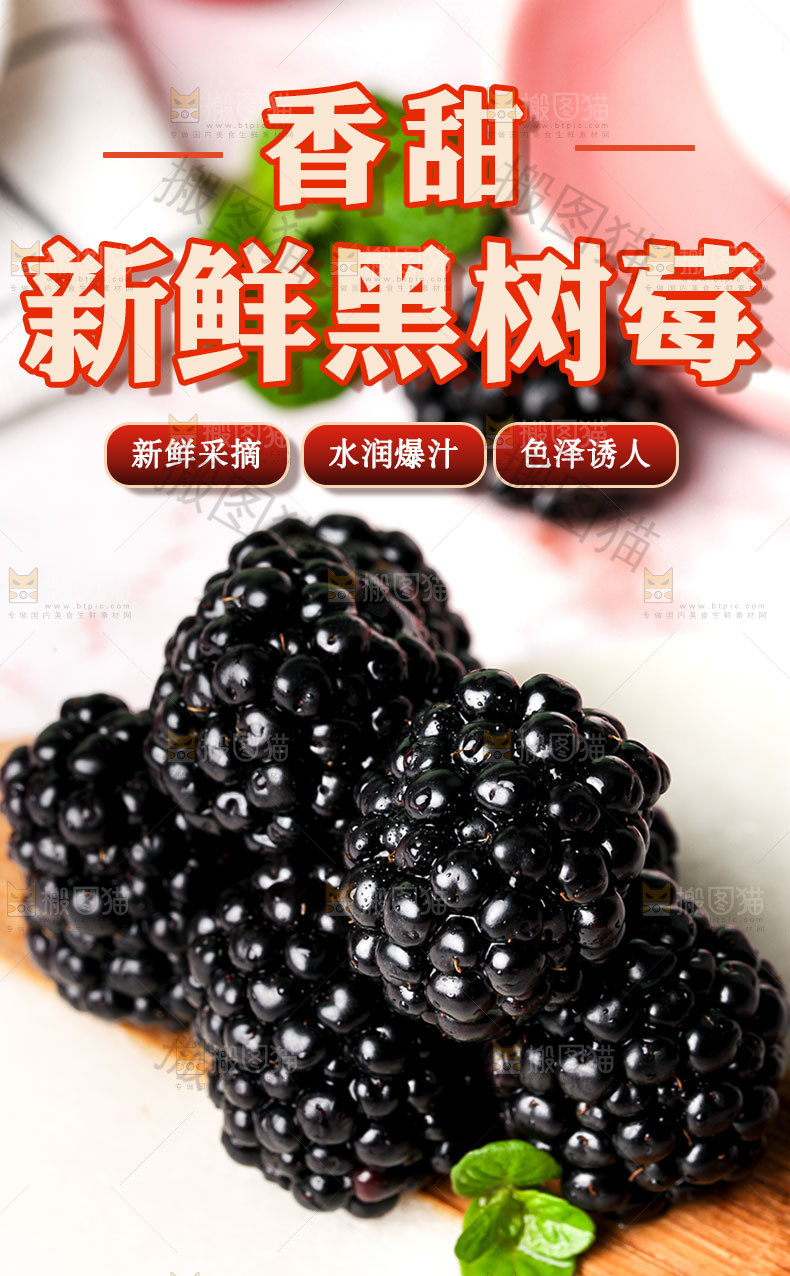 新鲜黑树莓详情页