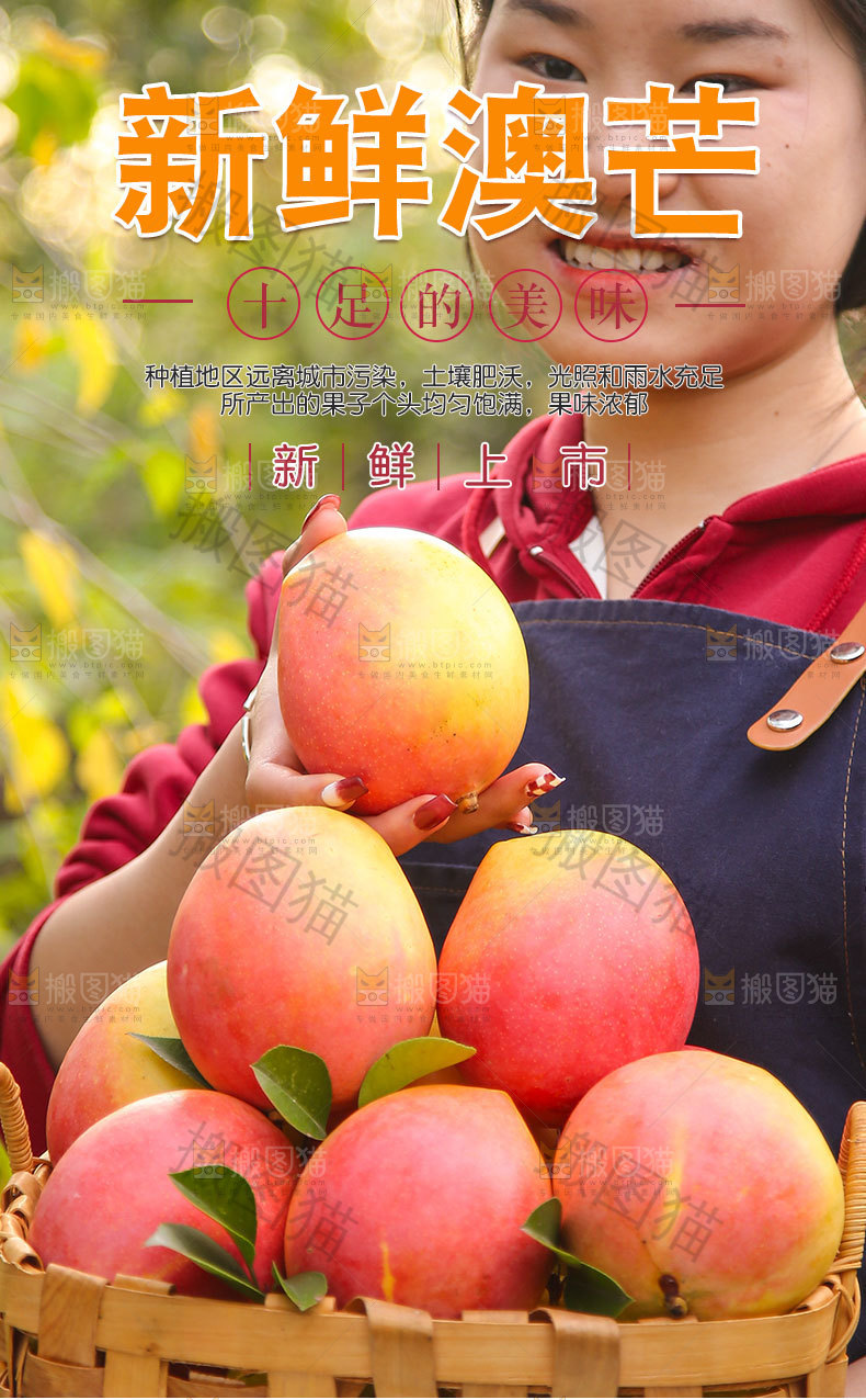 新鲜澳芒详情页