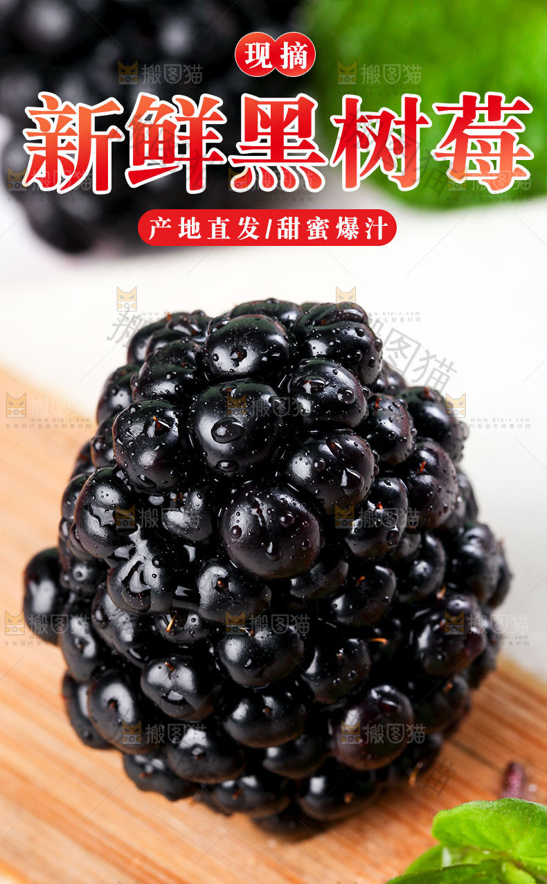 新鲜黑树莓详情页