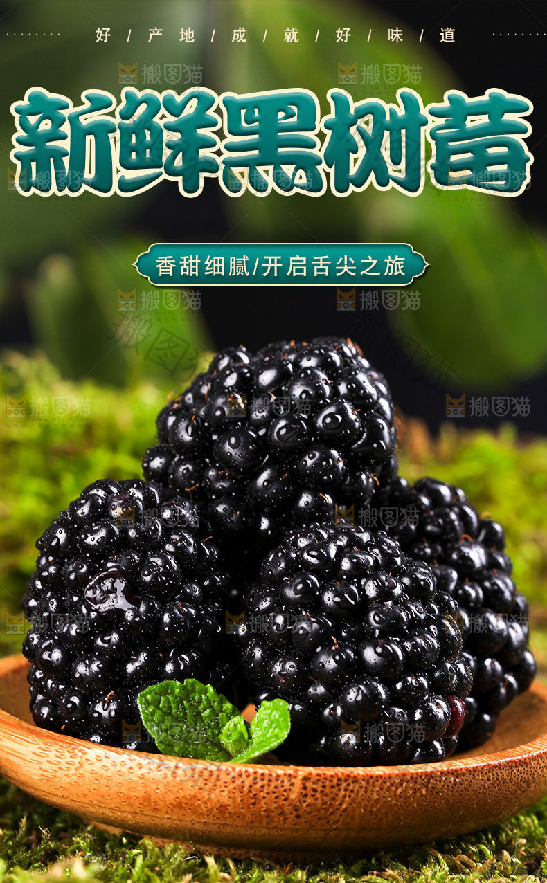黑树莓详情页