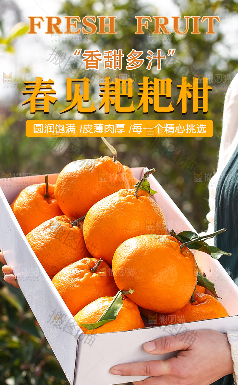 春见耙耙柑详情页
