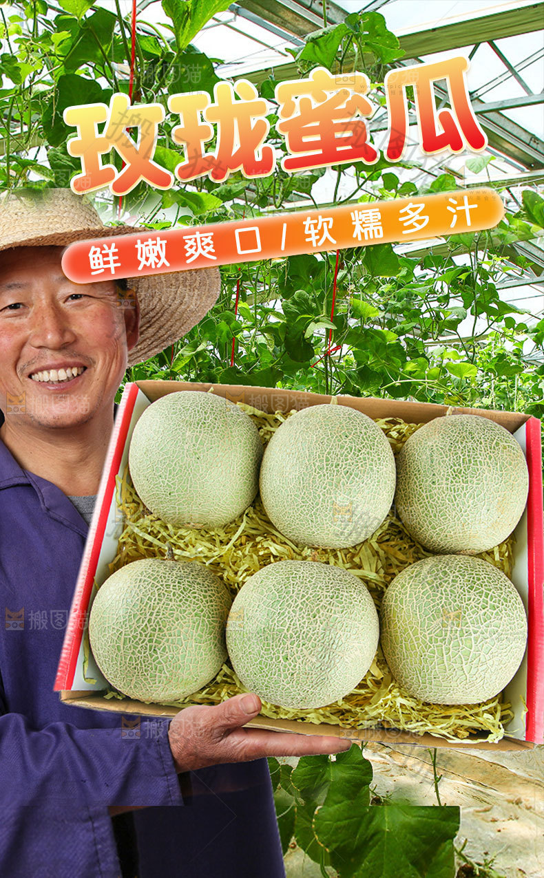玫珑蜜瓜详情