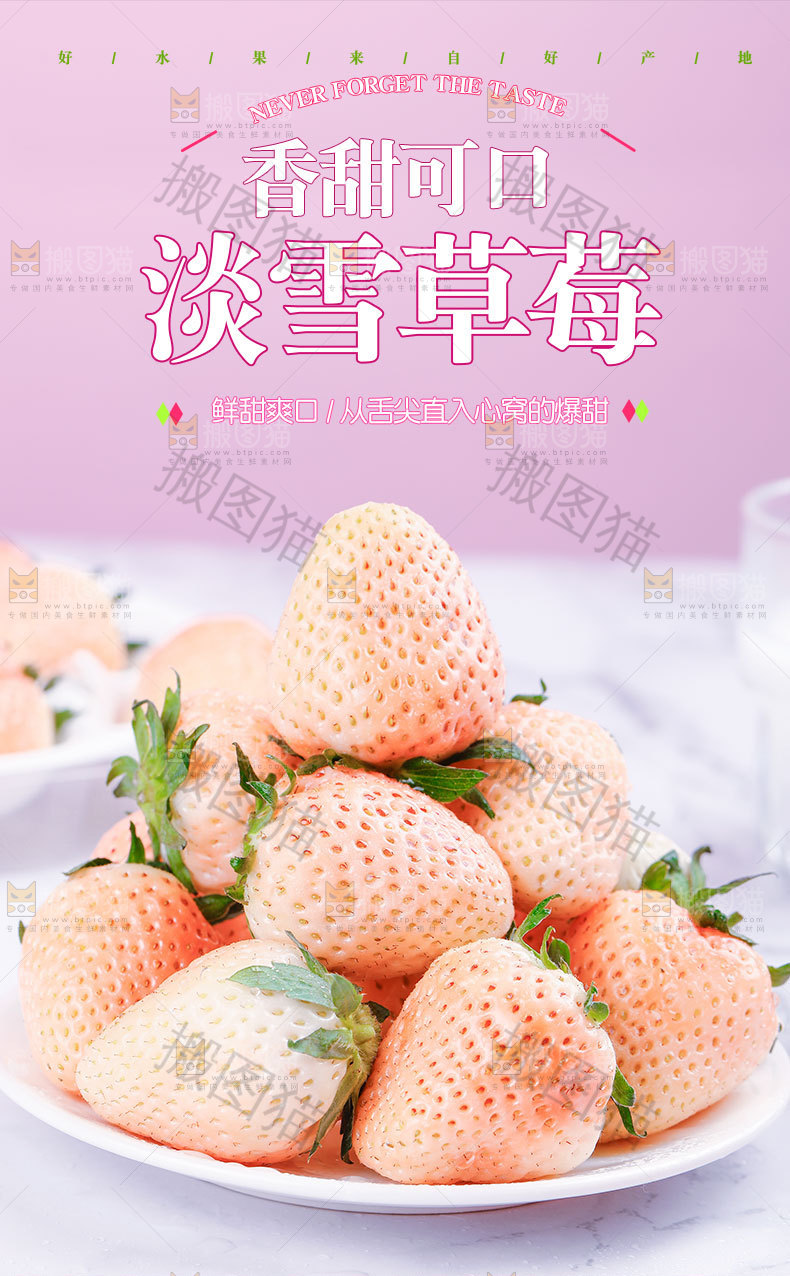 淡雪白草莓详情页