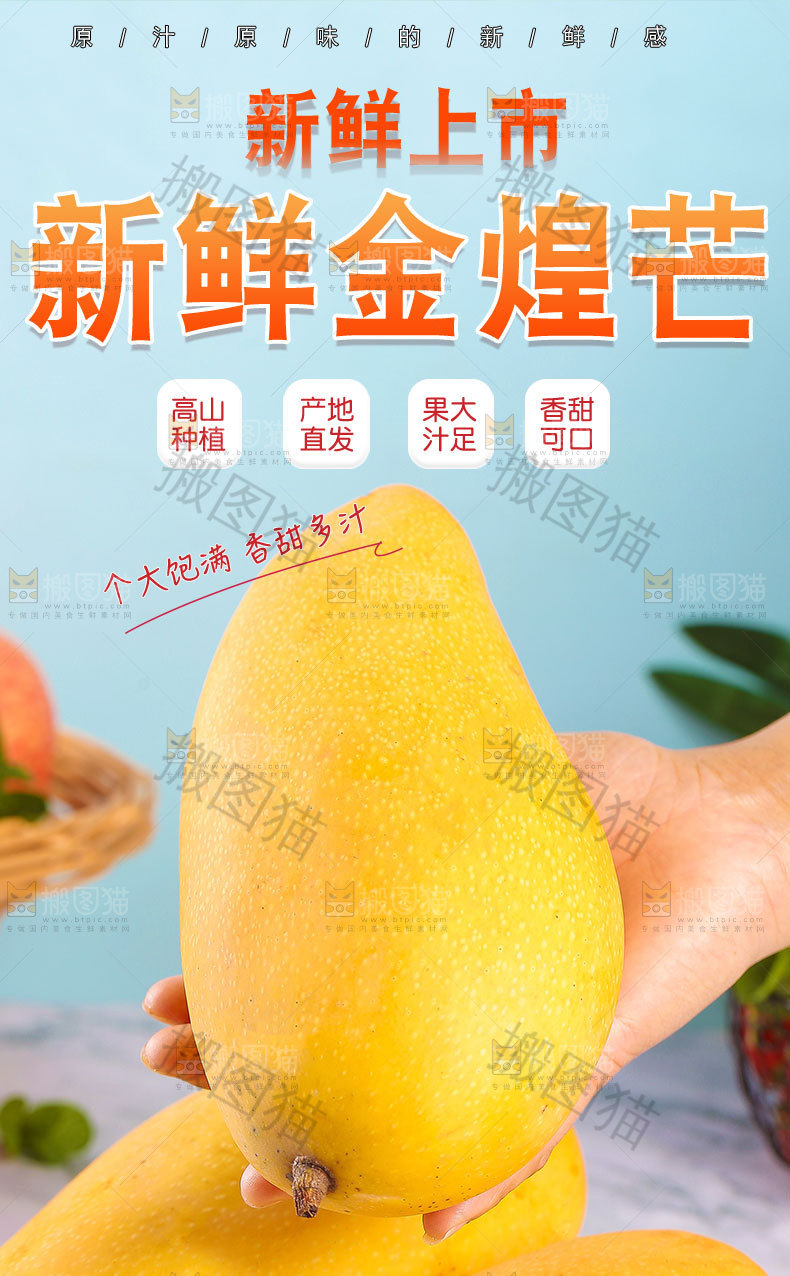 新鲜金煌芒详情页