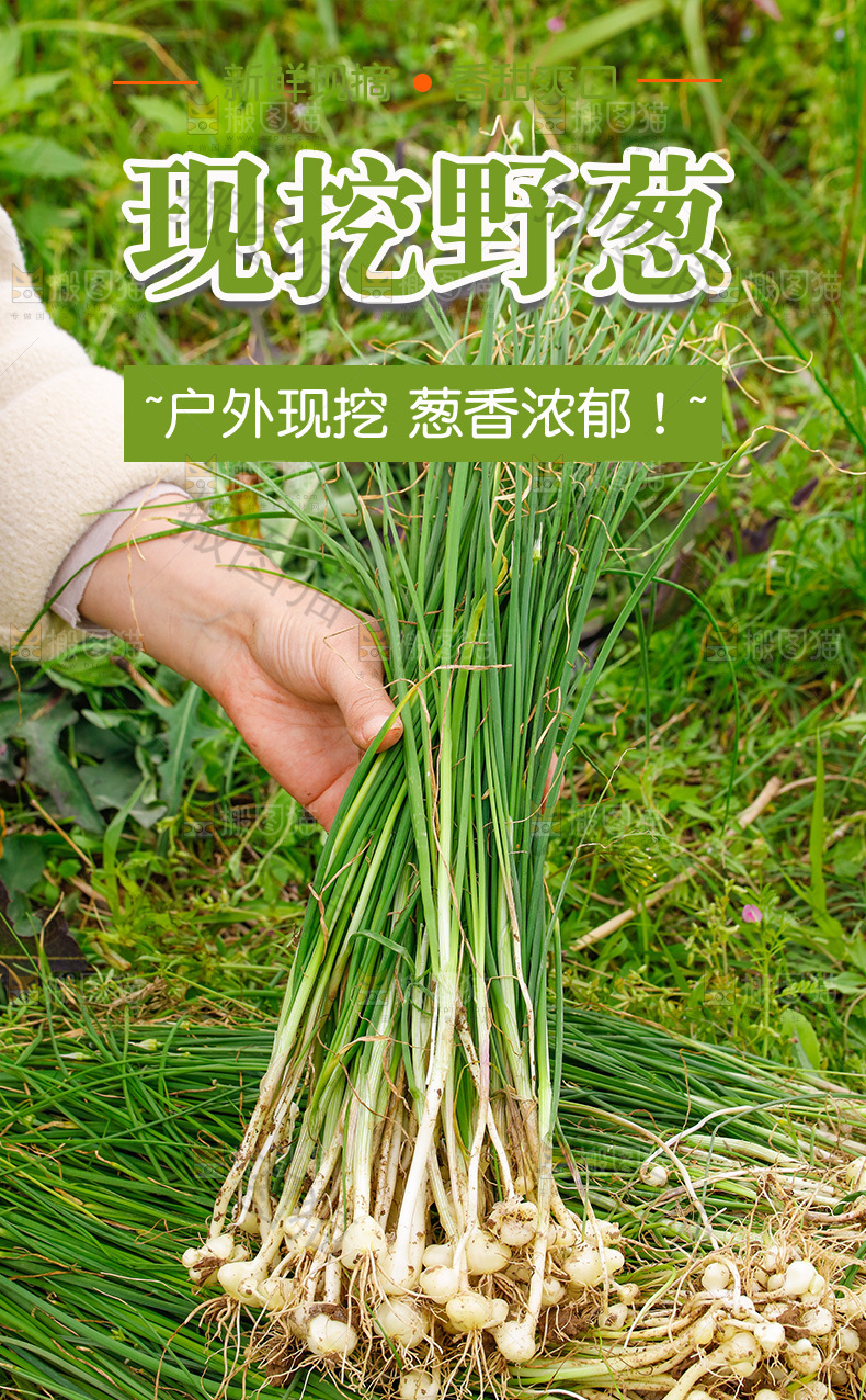 现挖野葱详情页