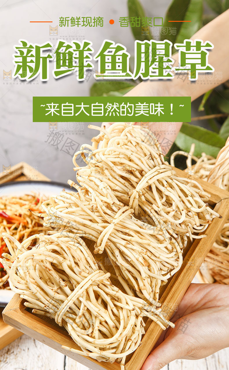 折耳根详情页