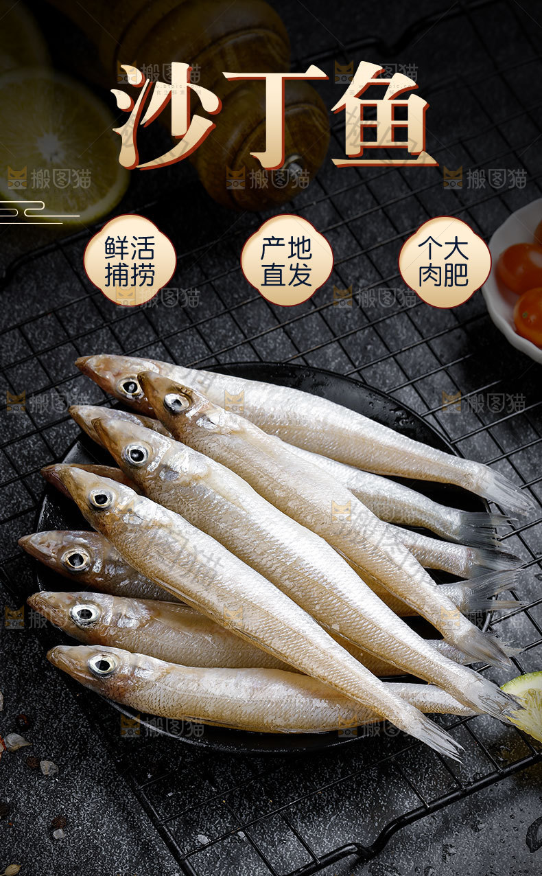 沙丁鱼详情页