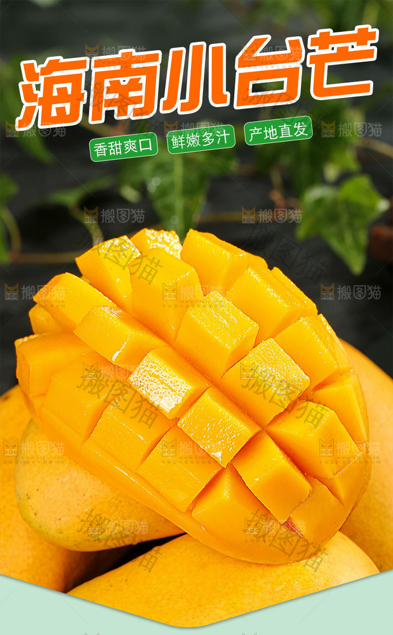 海南小台芒详情页