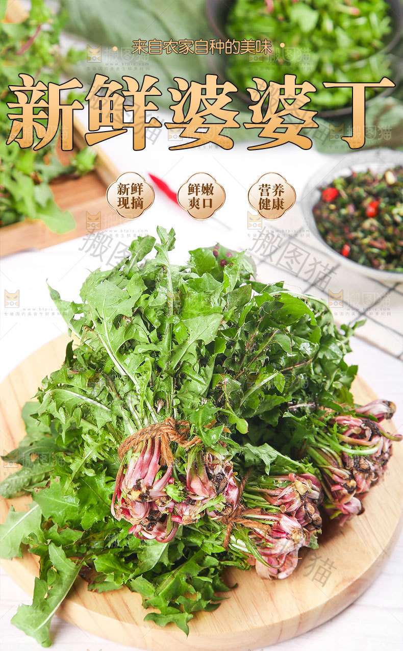 新鲜婆婆丁详情页