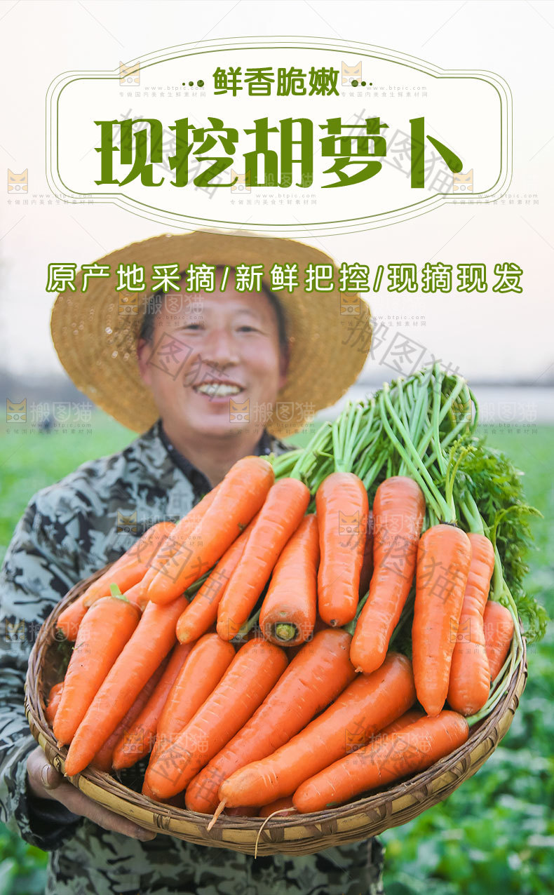 现挖胡萝卜详情页