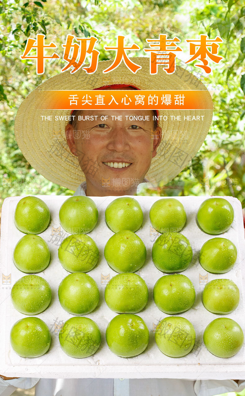 牛奶大青枣详情页