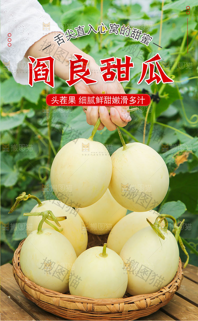 阎良蜜瓜详情页