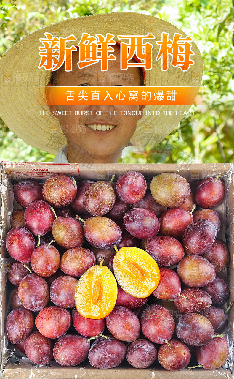 西梅详情页