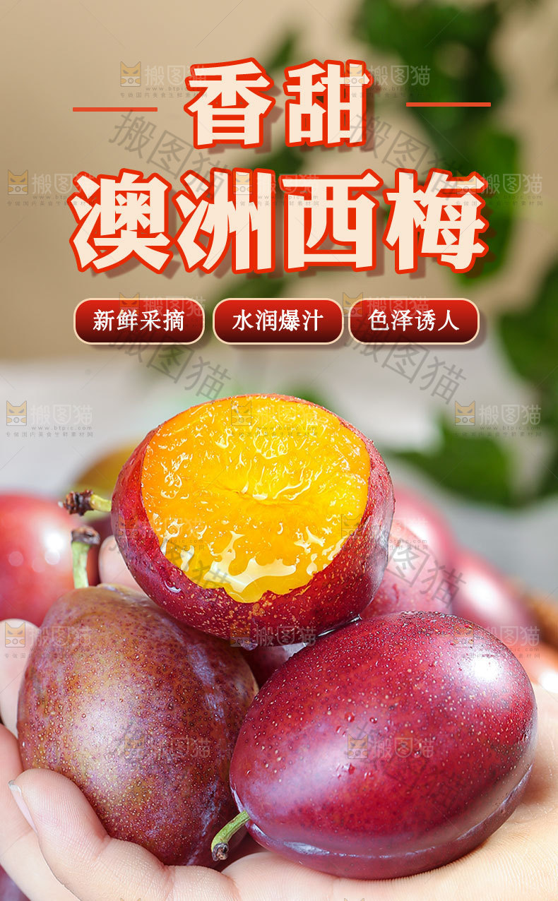 澳洲西梅详情页