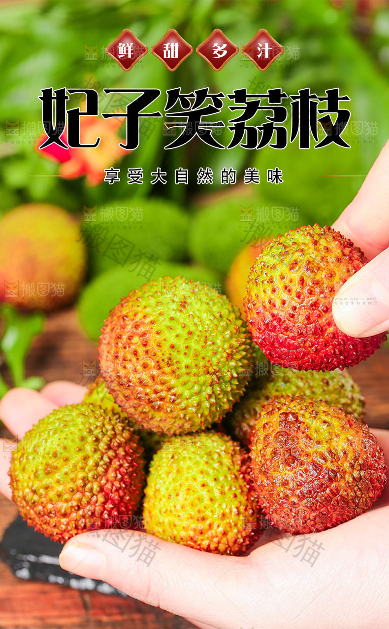 妃子笑荔枝详情页