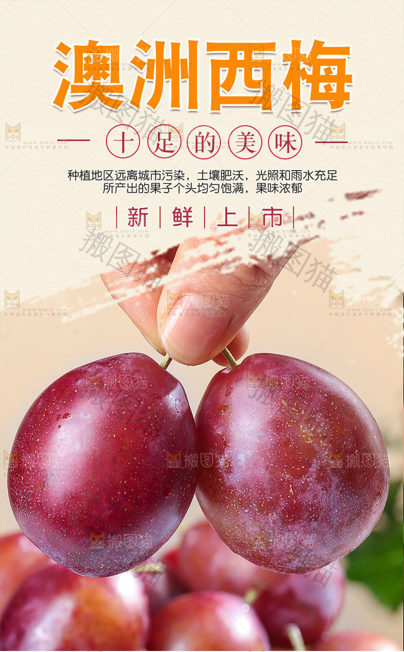 新鲜西梅详情页