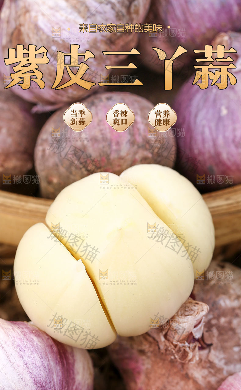 紫皮三丫蒜详情页
