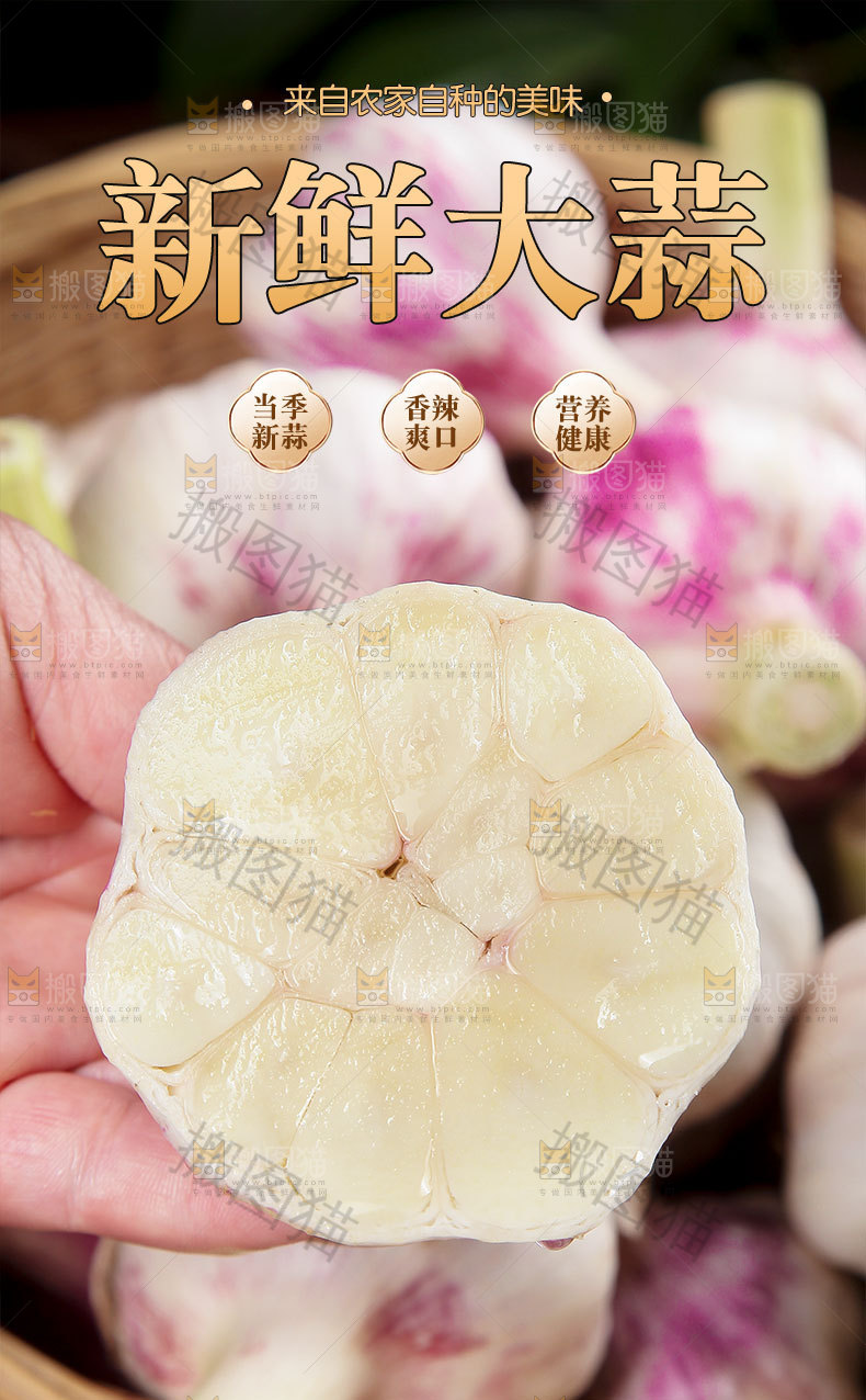 新鲜大蒜详情页