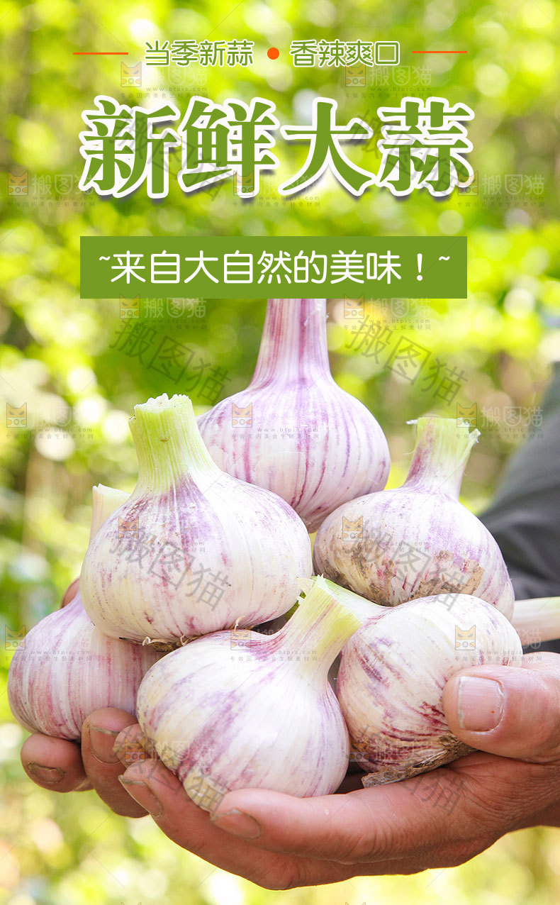 新鲜大蒜详情页