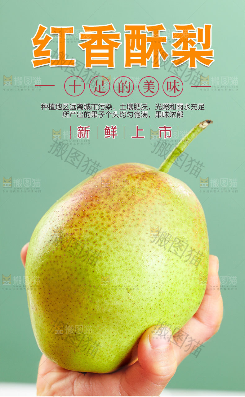 红香酥梨详情页