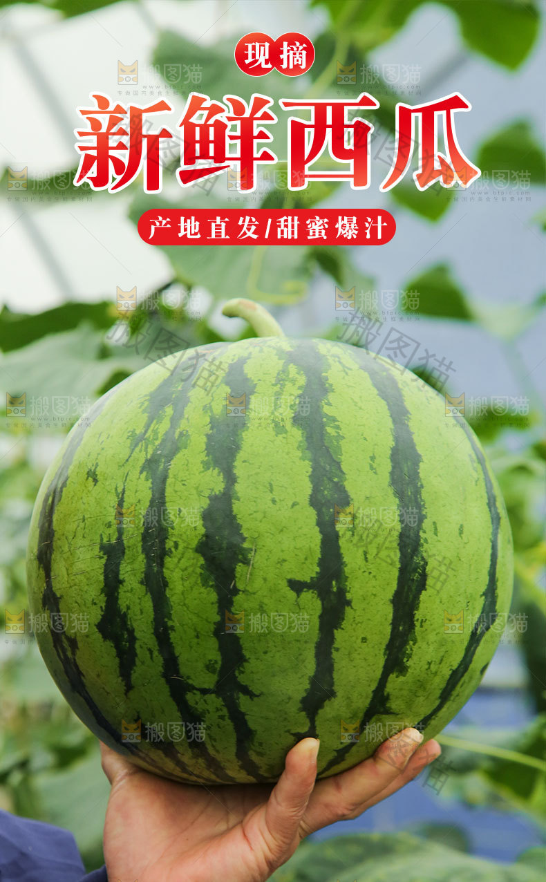 西瓜详情页