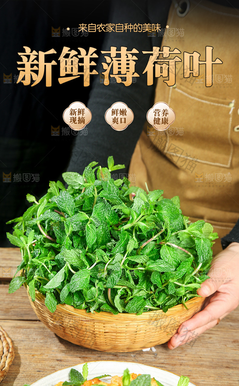 新鲜薄荷详情页