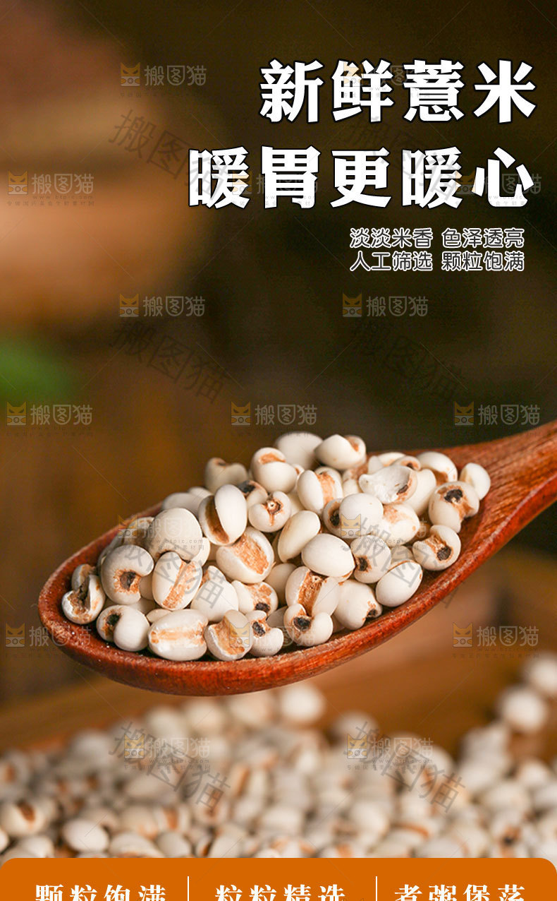 新鲜薏米详情页