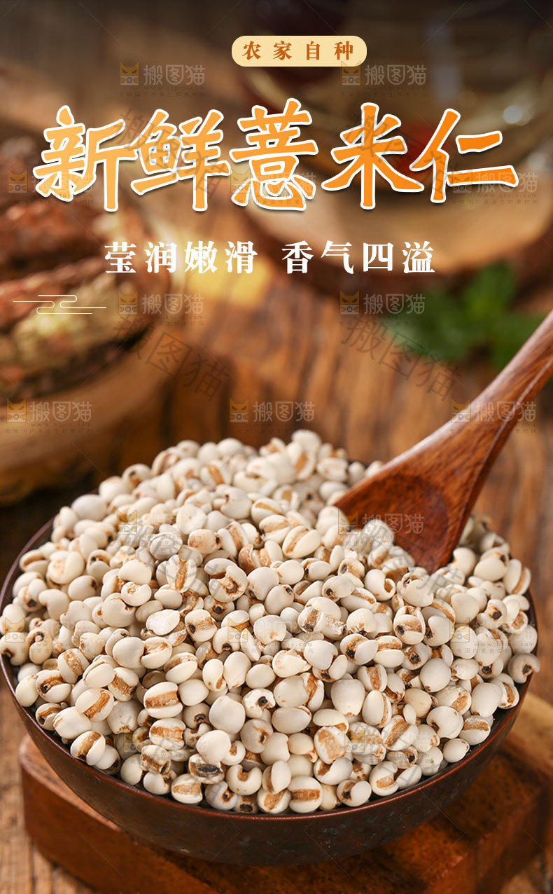新鲜薏米仁详情页