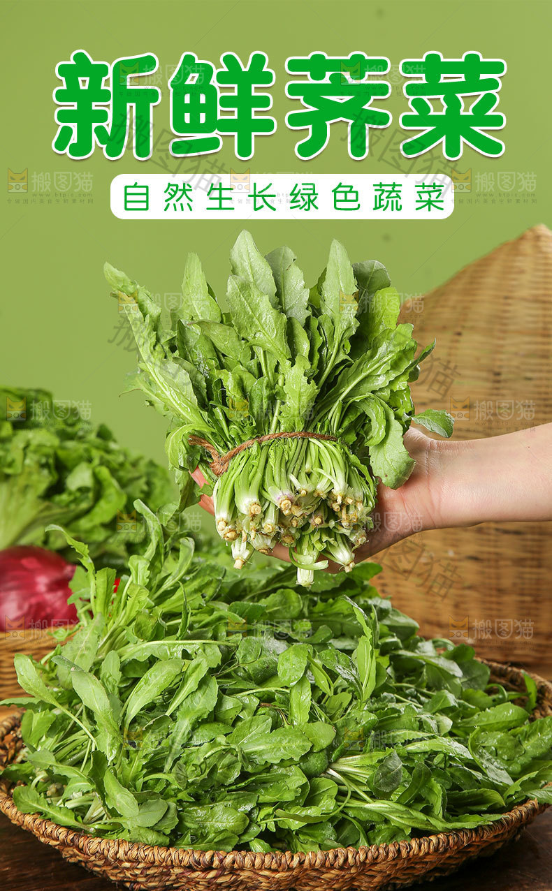 新鲜荠菜详情页