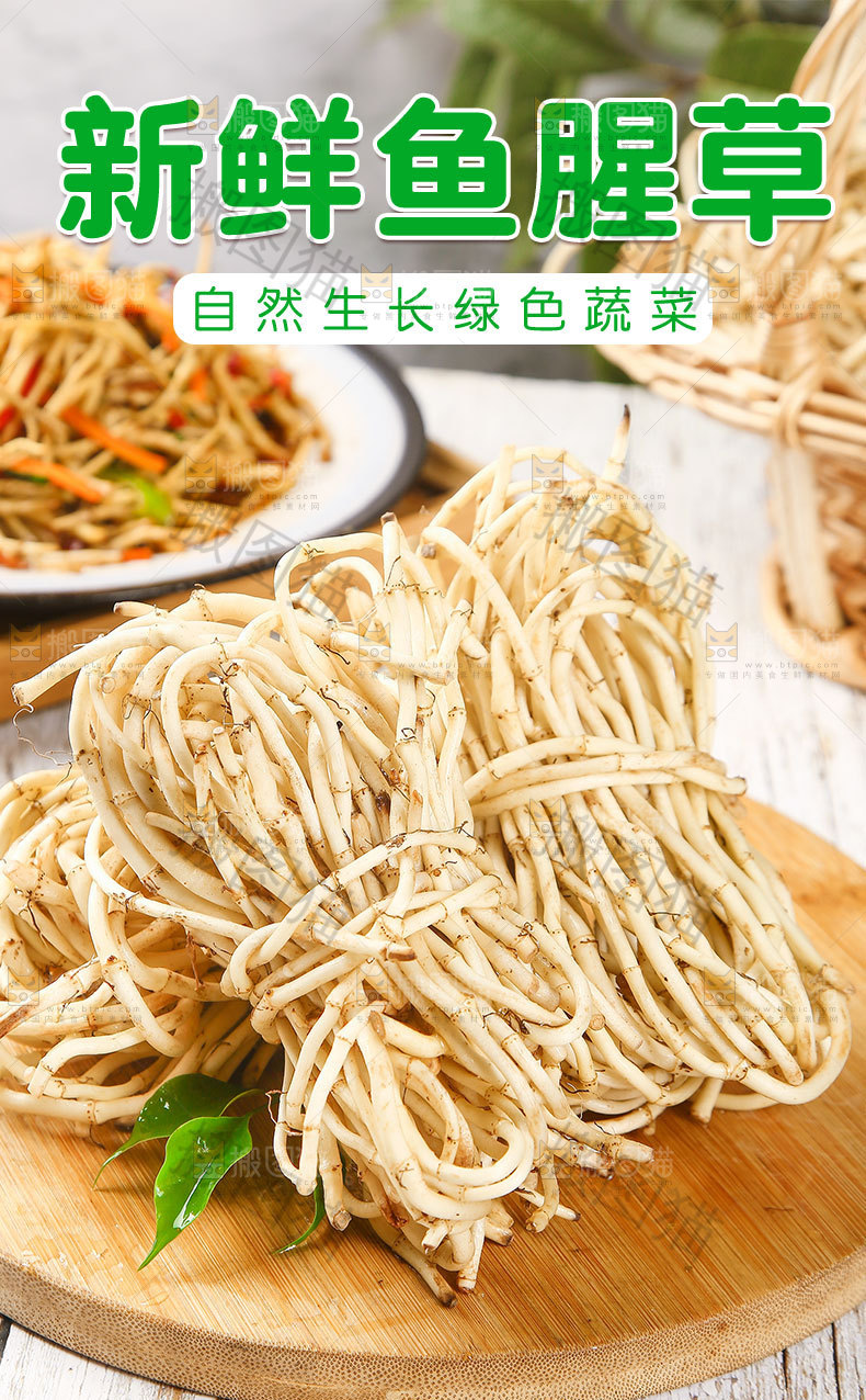 新鲜鱼腥草详情页