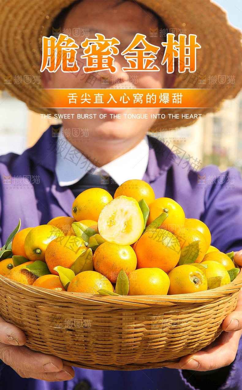 脆蜜金柑详情页