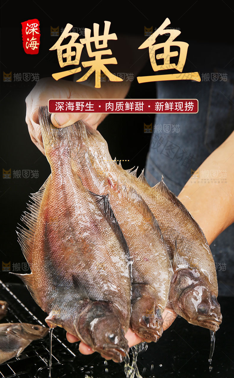 鲽鱼详情页