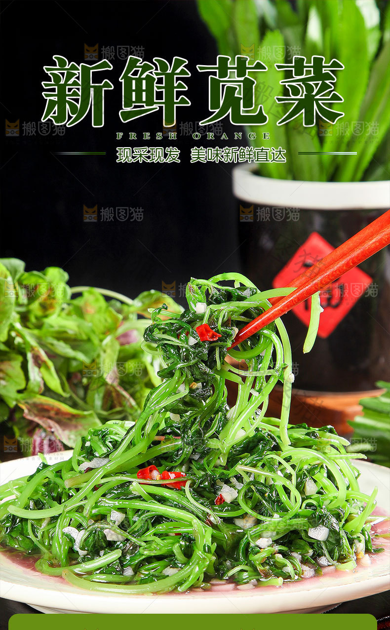 新鲜苋菜详情页