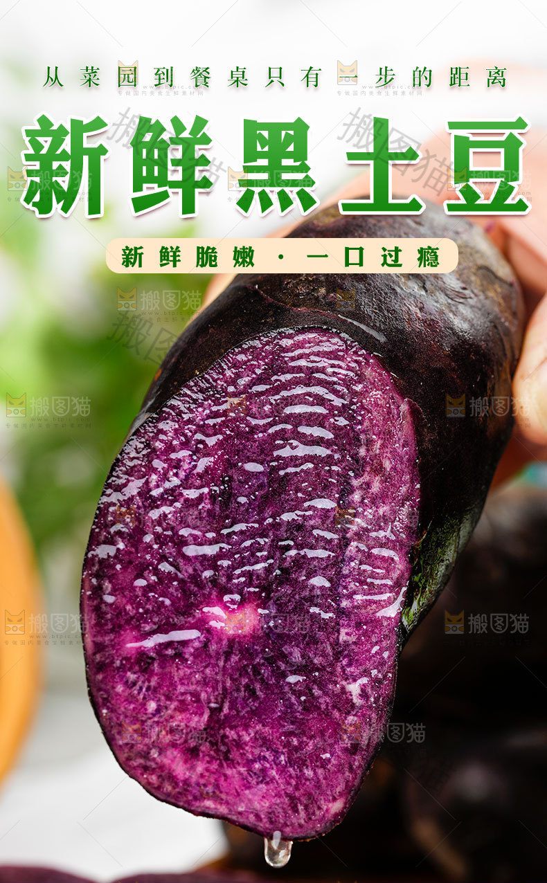新鲜黑土豆详情页