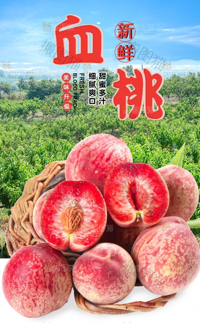 新鲜血桃详情页
