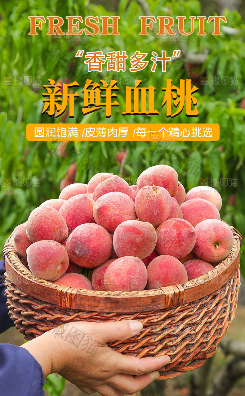 新鲜血桃详情页