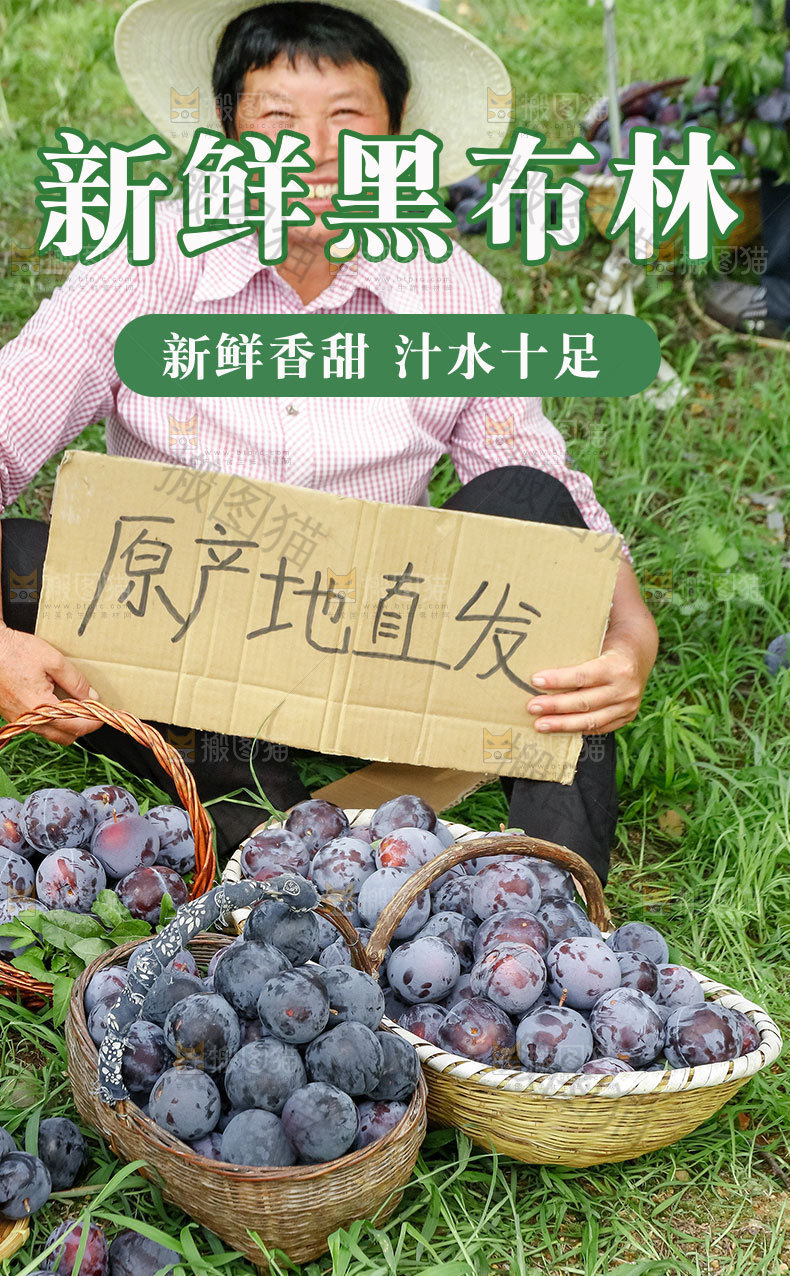 新鲜黑布林详情页