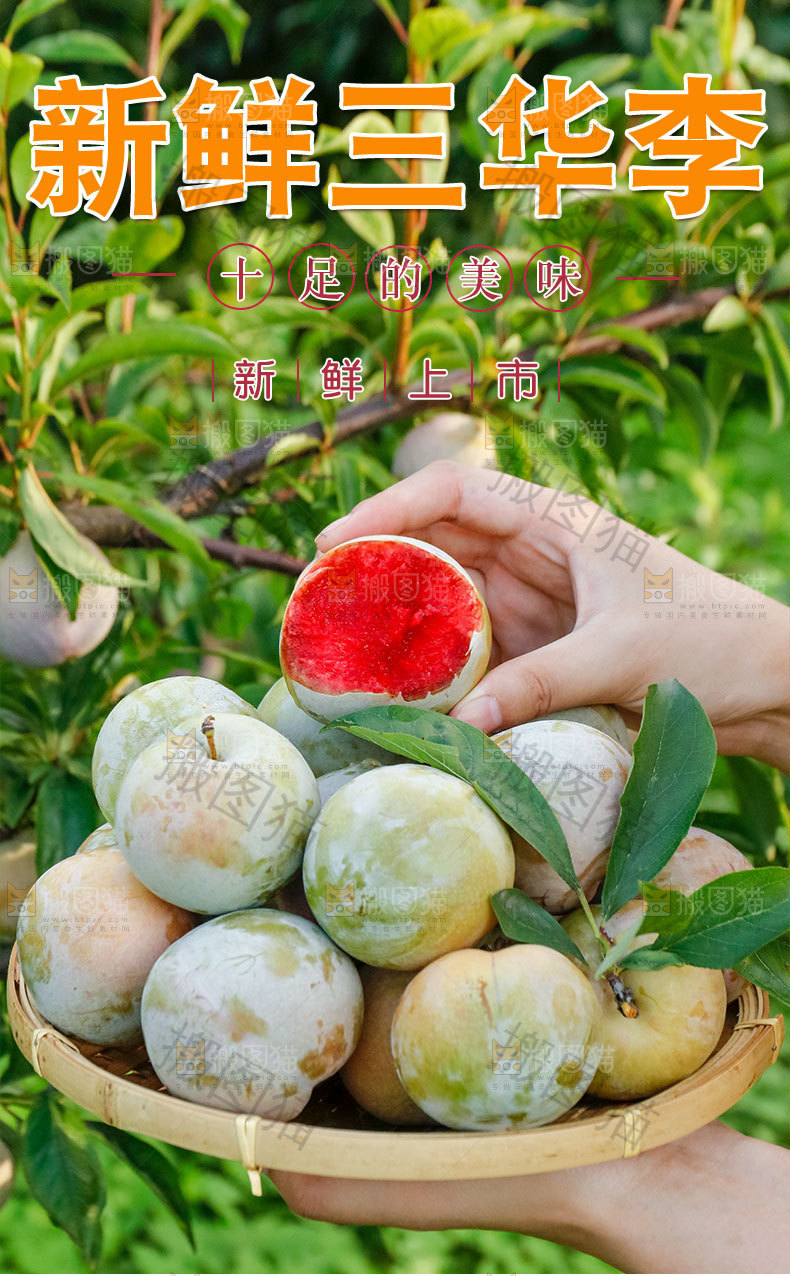 新鲜三华李详情页