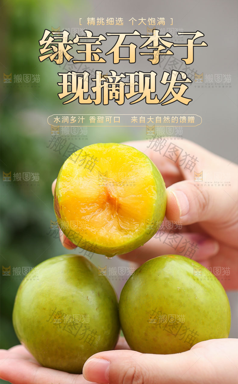 绿宝石李子详情页