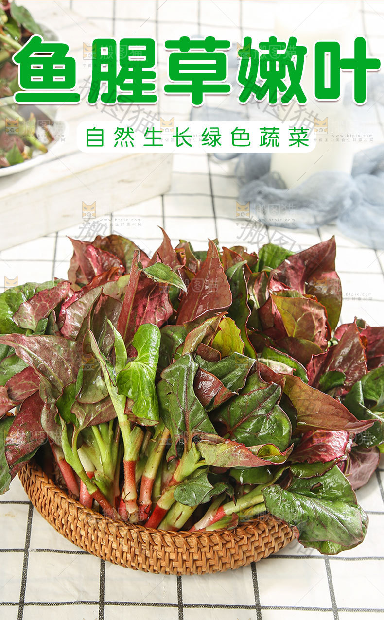 鱼腥草嫩叶详情页
