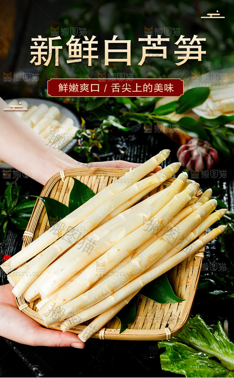 新鲜白芦笋详情页