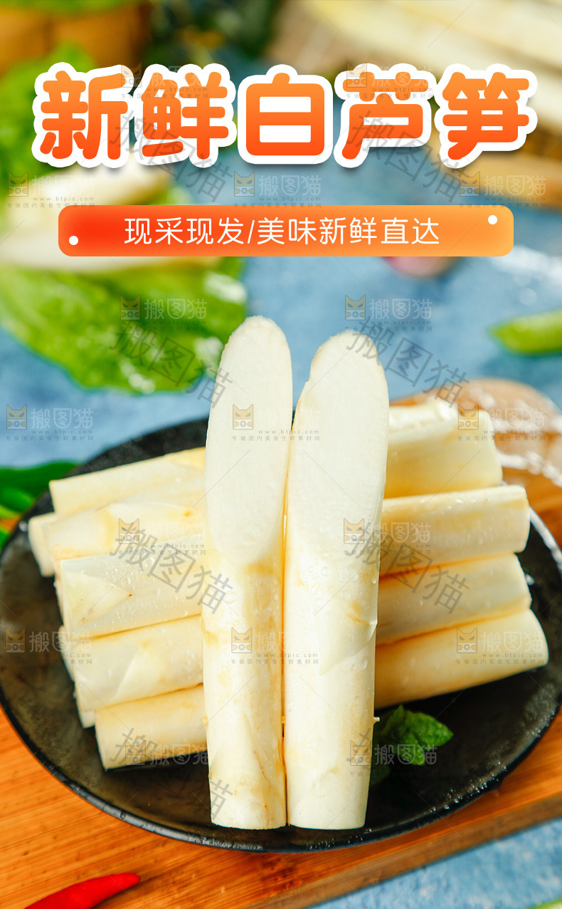 新鲜白芦笋详情页
