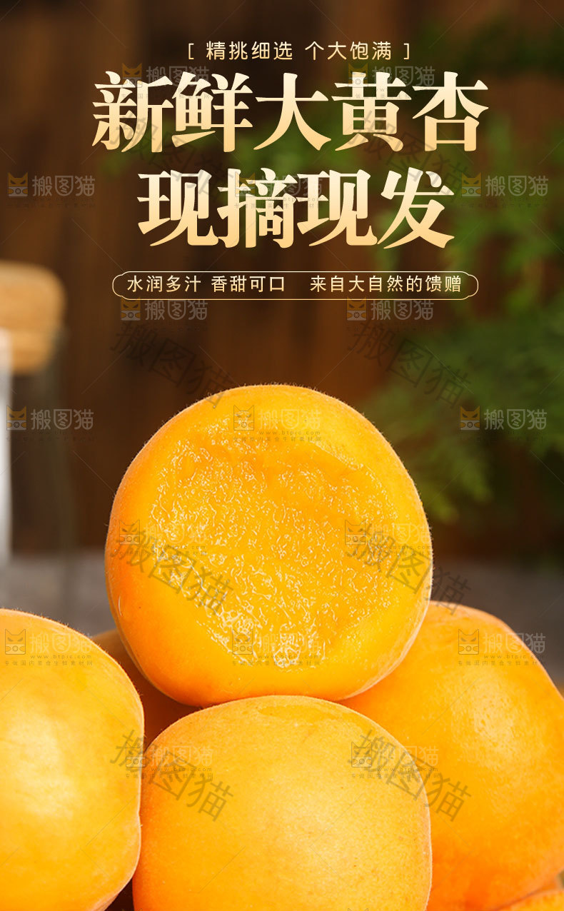 新鲜大黄杏详情页
